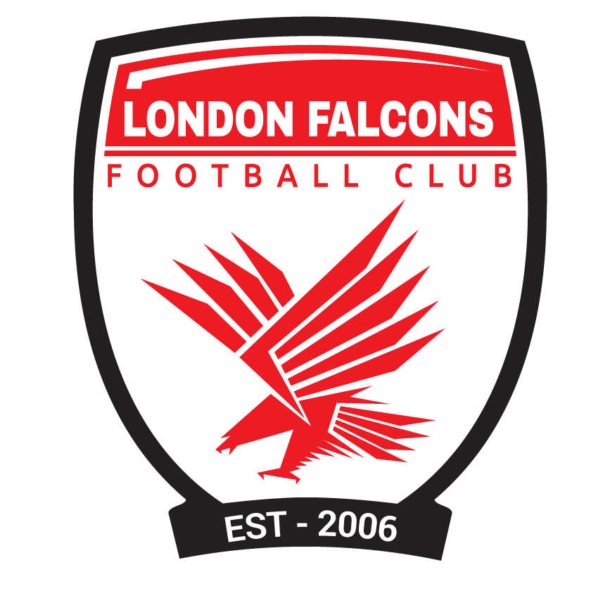 Falcons Logo